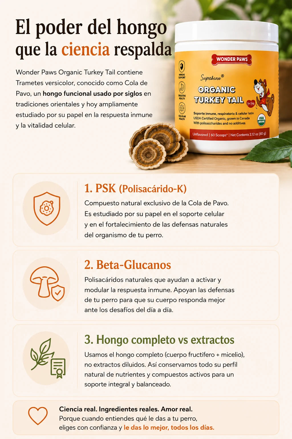 Genius Gummy fórmula botánica infantil - Enfoque y atención diaria, claridad mental, ingredientes botánicos sin cafeína, rutina escolar fácil, suplemento natural para niños