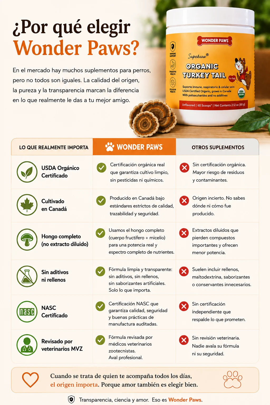 Genius Gummy rutina escolar - Toma 2 gomitas al día, activa enfoque natural, mantén la rutina, vegano sin azúcar sin gluten, suplemento botánico para niños